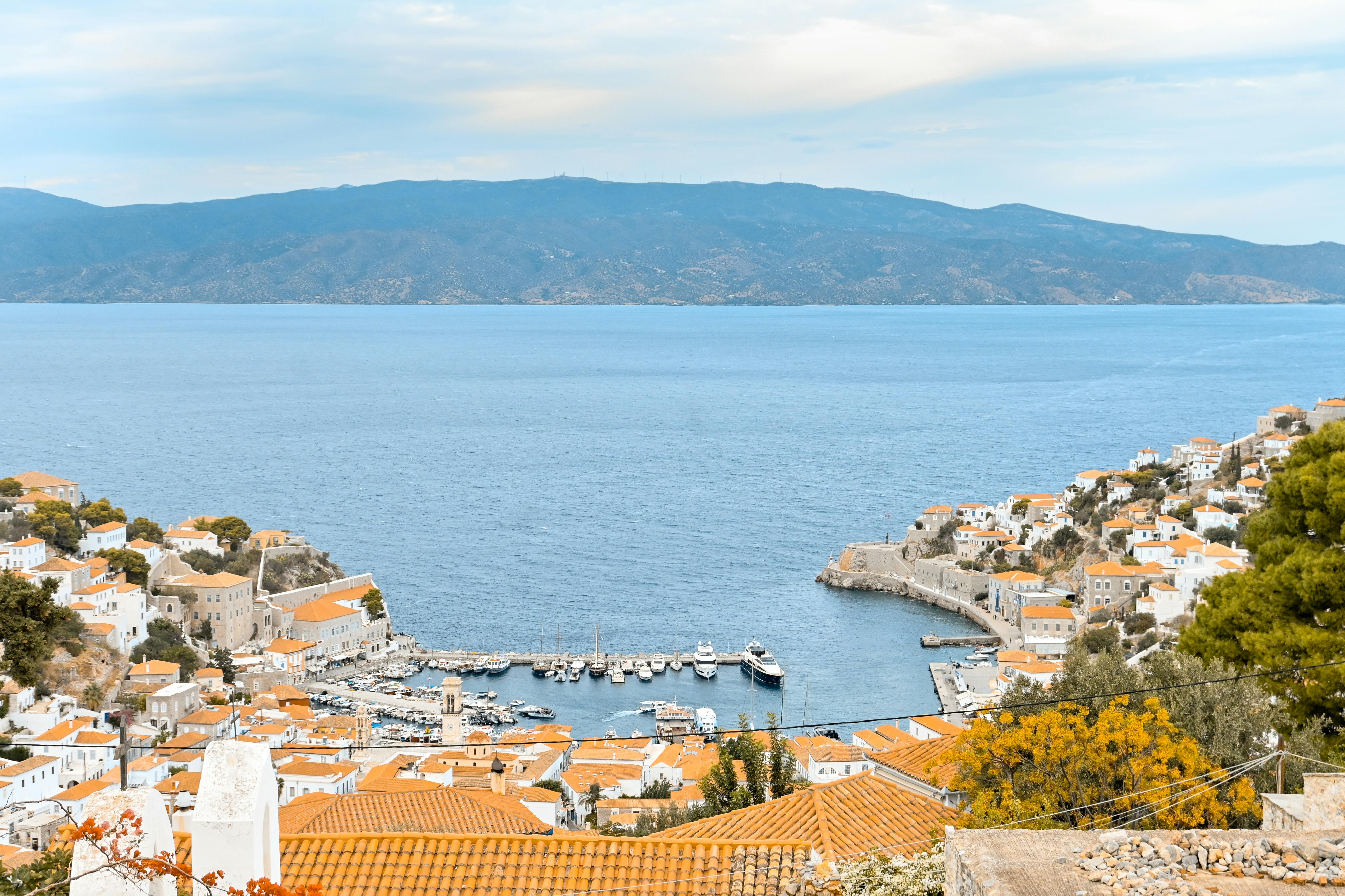Hydra from the sea